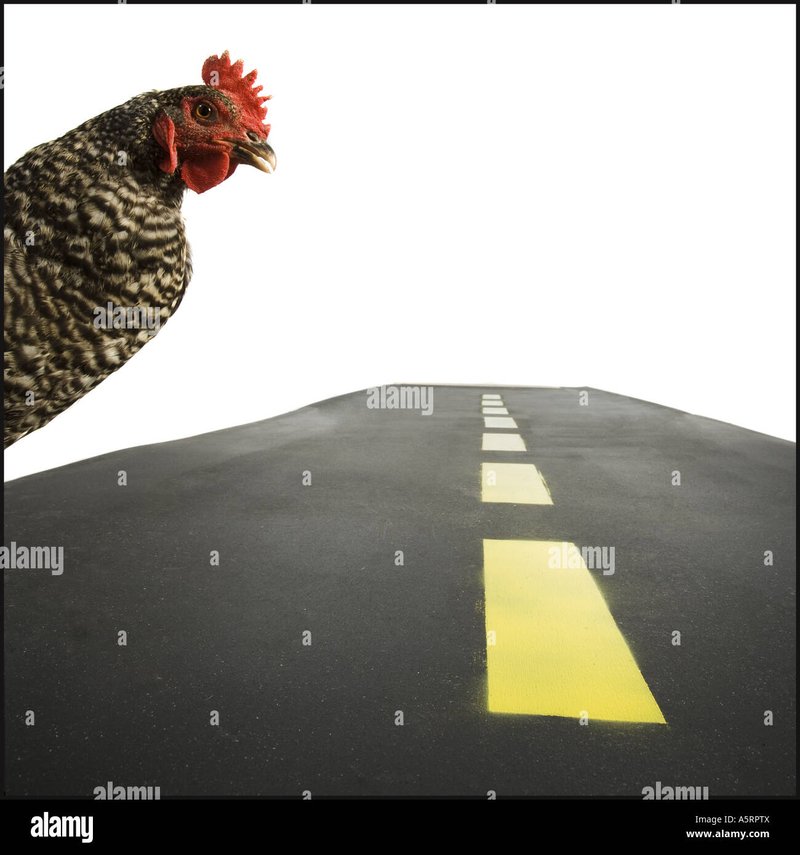 Spain - chicken road online